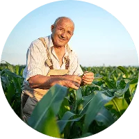 Organic Farming - 世界杯竞猜