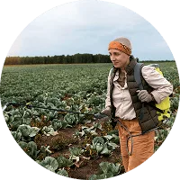 Organic Farming - 世界杯竞猜