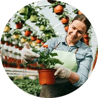 Organic Farming - 世界杯竞猜