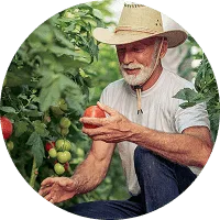 Organic Farming - 世界杯竞猜