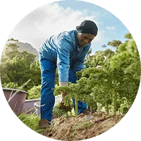 Organic Farming - 世界杯竞猜